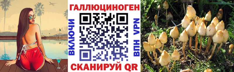 Псилоцибиновые грибы мухоморы  что такое наркотик  Алексеевка 